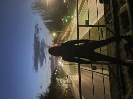 Сімейна пара  – Фото 1