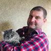 Александр, 38 лет, Секс без обязательств, Нетешин