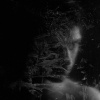 Без имени, 36 лет, Секс без обязательств, Днепродзержинск / Каменское