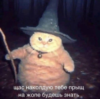 Встреча на кофе без лишних рамок и условностей. На авто, ухожен, адекватен. – Фото 1
