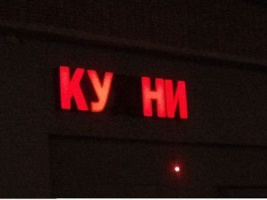 Ищу реальных любительниц куни !!! – Фото 1