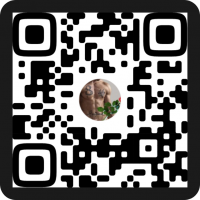 Послушную и пошлую – Фото 1