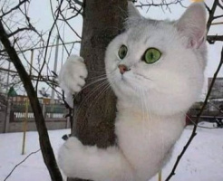 Прівет всім мені подобаюся дівцата віком від 18 до 40 я з тернопилской області – Фото 1