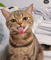 Активный би мужчина в поиске пары МЖ би  – Фото 1