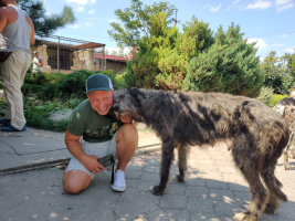 Красота, ти де? – Фото 1