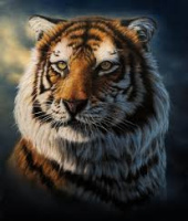 Ищу девушку для секса  – Фото 1