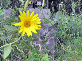 Постоянные встречи, интересует постарше – Фото 1