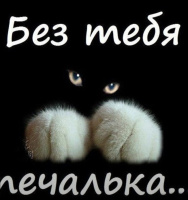 Мужчина 35 лет хочет найти девушку в Черновцах – Фото 1