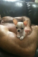 192\100\18  спортивный, порядочный, с опытом приглашу в гости в любое время  СТРОЙНУЮ пару мж – Фото 1