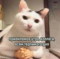 Шукаю партнершу для стосунків без обов’язків  – Фото 1