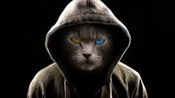 Сделаю милашке куни – Фото 1