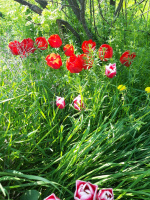 Познакомлюсь с девушкой. – Фото 1