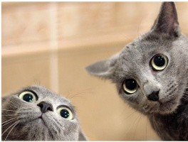 Сквирт 100% гарантия! – Фото 1