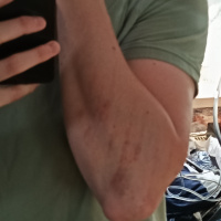 Шукаю дівчину  – Фото 1