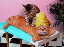 Для не частых интим встречь – Фото 1