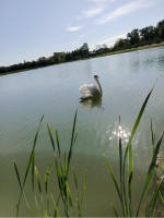 Зделаю симпатичной девушке Куни – Фото 1