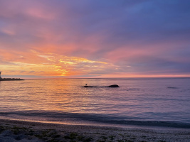 Хотим попробовать мжм  – Фото 1