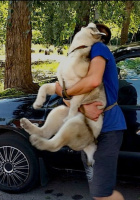 Петропавловка ищу девушку – Фото 1