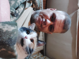 Хто сьогодні зі мною в сауну попаааритись – Фото 1