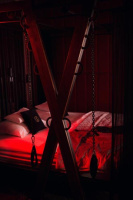 Доминант отстрапонит – Фото 1