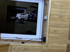 Молодая кровь, активный, с хорошим телом  – Фото 1