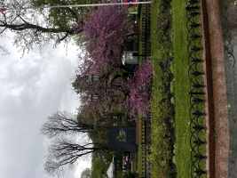 Ничего не ищу  – Фото 1