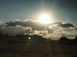 Общение и больше  – Фото 1