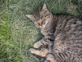 Конфіденційні зустрічі – Фото 1