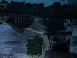 Нежный пан, готов к любым експерементам, 24 года, центр – Фото 3