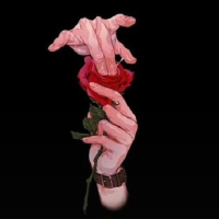 Ищу голодную женщину для секса – Фото 1