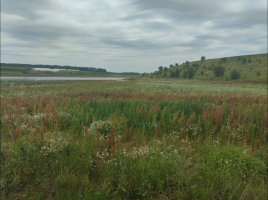 Хочу спілкування з Жінкою 40 + і не тільки  – Фото 1