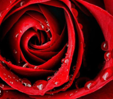 Спортивная самодостаточная пара ж40/172/70, м47/180 ищет такую же пару 35-45 лет – Фото 1