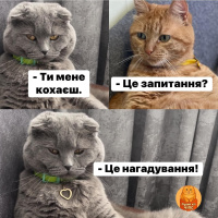 Симпатичну пару МЖ, можна бі – Фото 1