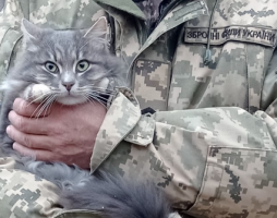 Шукаю жінку - подругу. – Фото 1