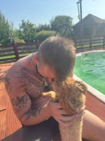 Шукаю дівчину для спілкування та більше  – Фото 1