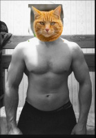 Спортивный с большим членом трахну до оргазма  – Фото 1