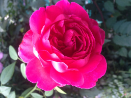 Обожаю путешествия и дорогу. Ищу единомышленников для приятного отдыха, общения и секса – Фото 1