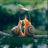 Постоянные ВСТРЕЧИ с Девушкой – Фото 1