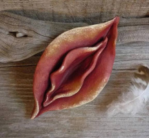 Масажист шукає модель – Фото 1